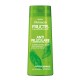 x 2 Garnier Fructis Shampooings Fortifiant Antipelliculaire  pour Cheveux Normaux (2 x 250ml  )