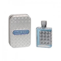 EAU DE PARFUM LINN YOUNG Liquid Steel for men (homme) 100ML
