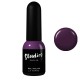 Vernis à ongles hybride Studios LA FEMME - 8 ml DIDIER LAB