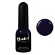 Vernis à ongles hybride Studios WILD FIRE - 8 ml DIDIER LAB