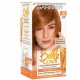 Crème de coloration GARNIER Belle Color à l’huile de germe de blé. 48 - Cuivré Naturel